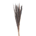 Droogblumen 100 cm (10)