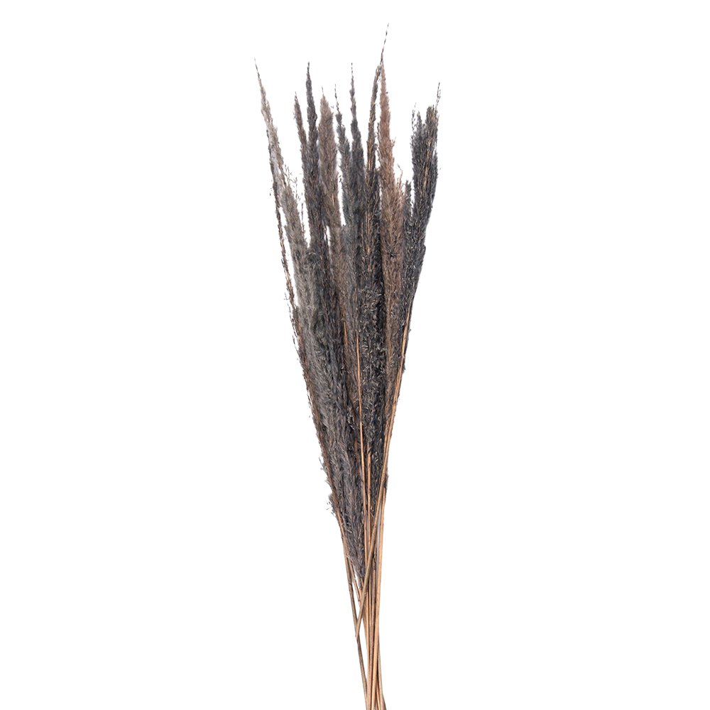 Droogblumen 100 cm (10)