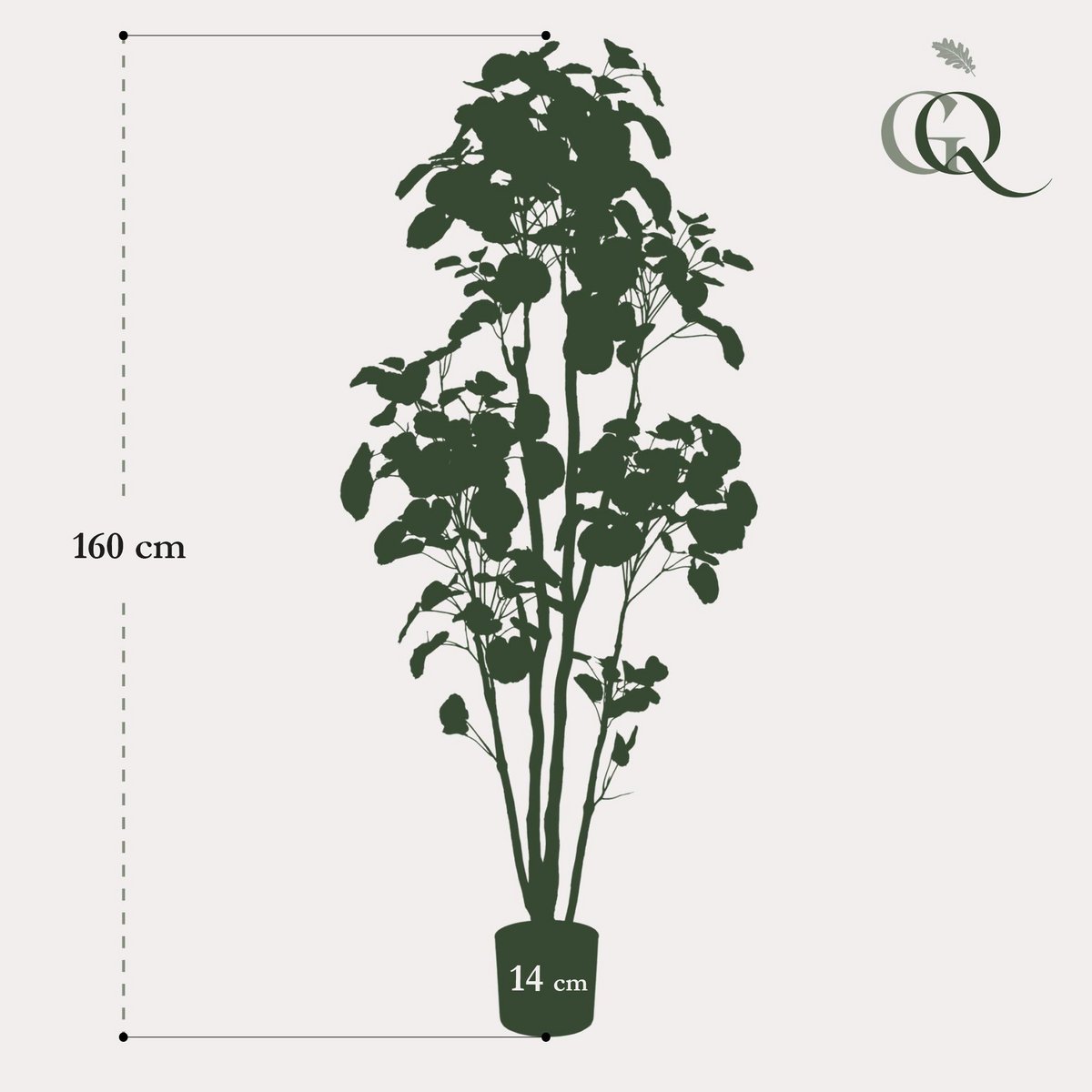 KUNSTPLANT - POLYSCIAS - ARALIA - 160 cm