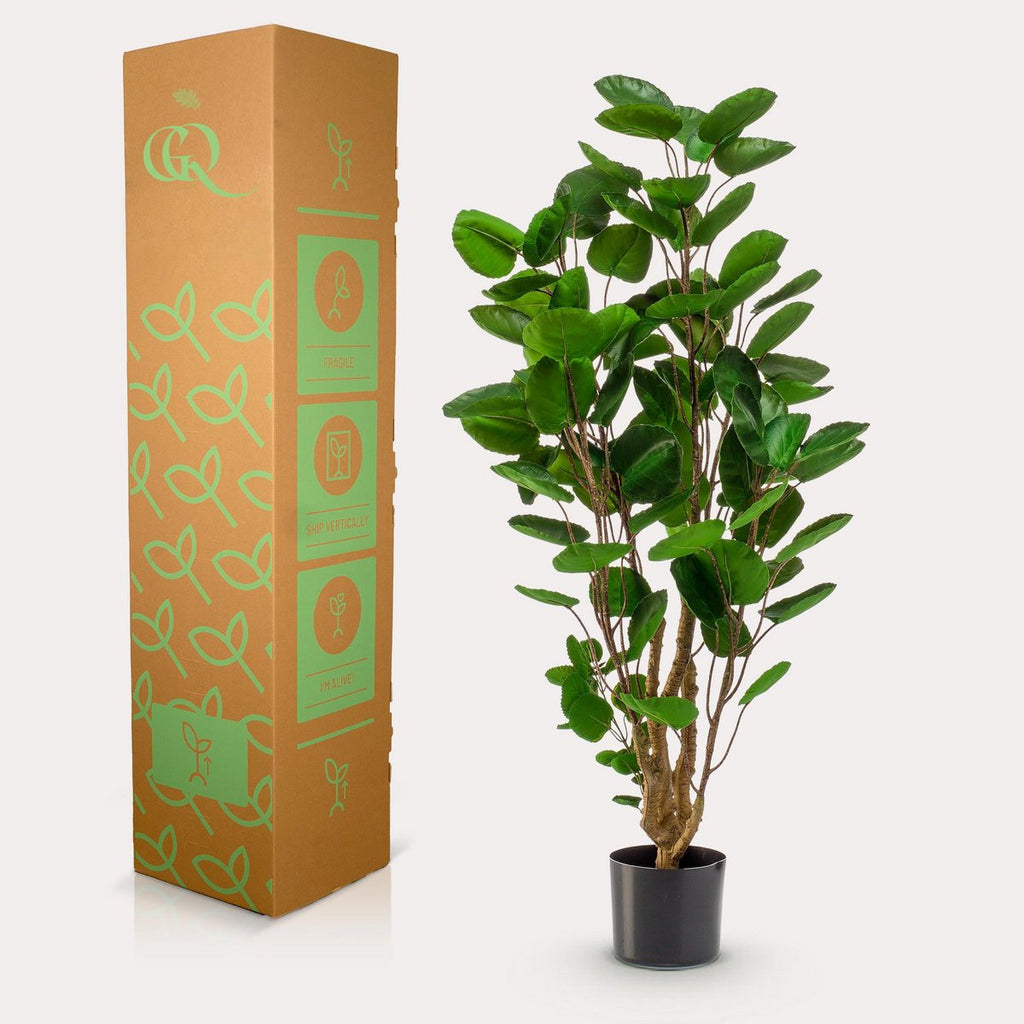 KUNSTPLANT - POLYSCIAS - ARALIA - 105 cm