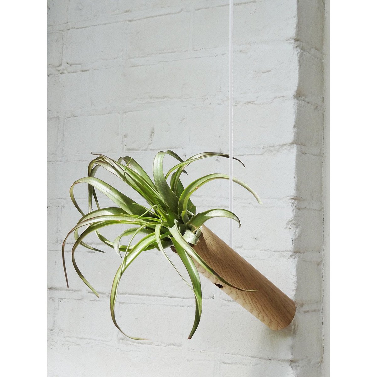 Hängende Zylinder – 2er-Set – Eiche hell