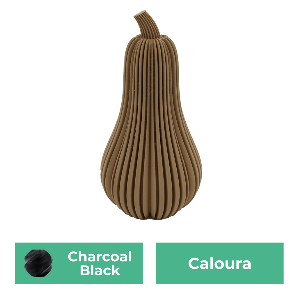 Caloura-Kürbis