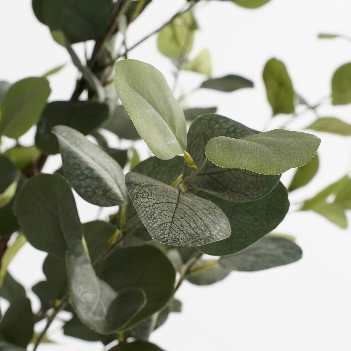 Pflegeleichte künstliche Zimmerpflanze Eukalyptus Dekoration
