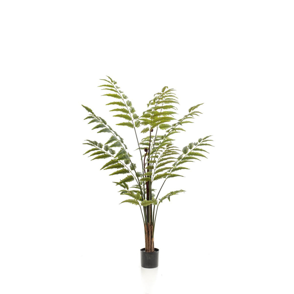 Kunstpflanze - Rumohra adiantiformis - Die Anführerin ändert sich - 150 cm