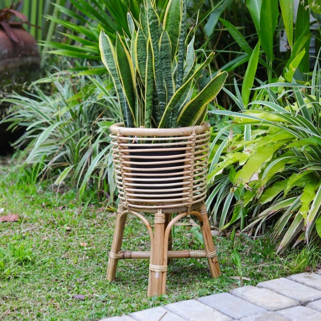 Pflanzkorb Rattan für Töpfe bis Ø20 cm