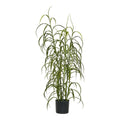 Graspflanze, grün, H:68 cm