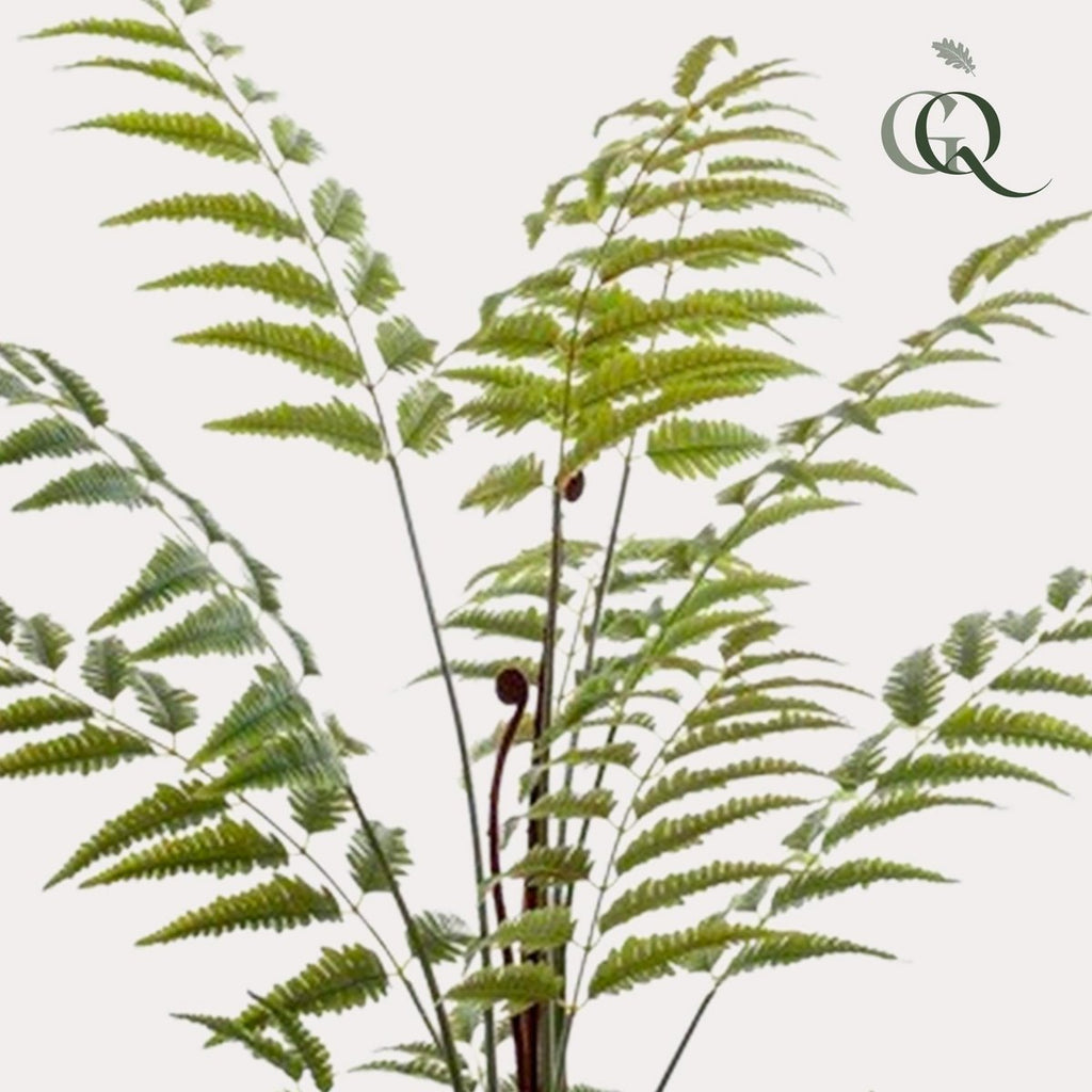 Kunstpflanze - Rumohra adiantiformis - Die Anführerin ändert sich - 150 cm