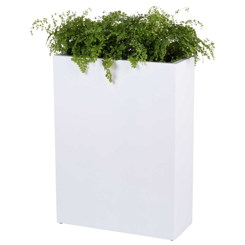 Plantnenbak - South Dakota