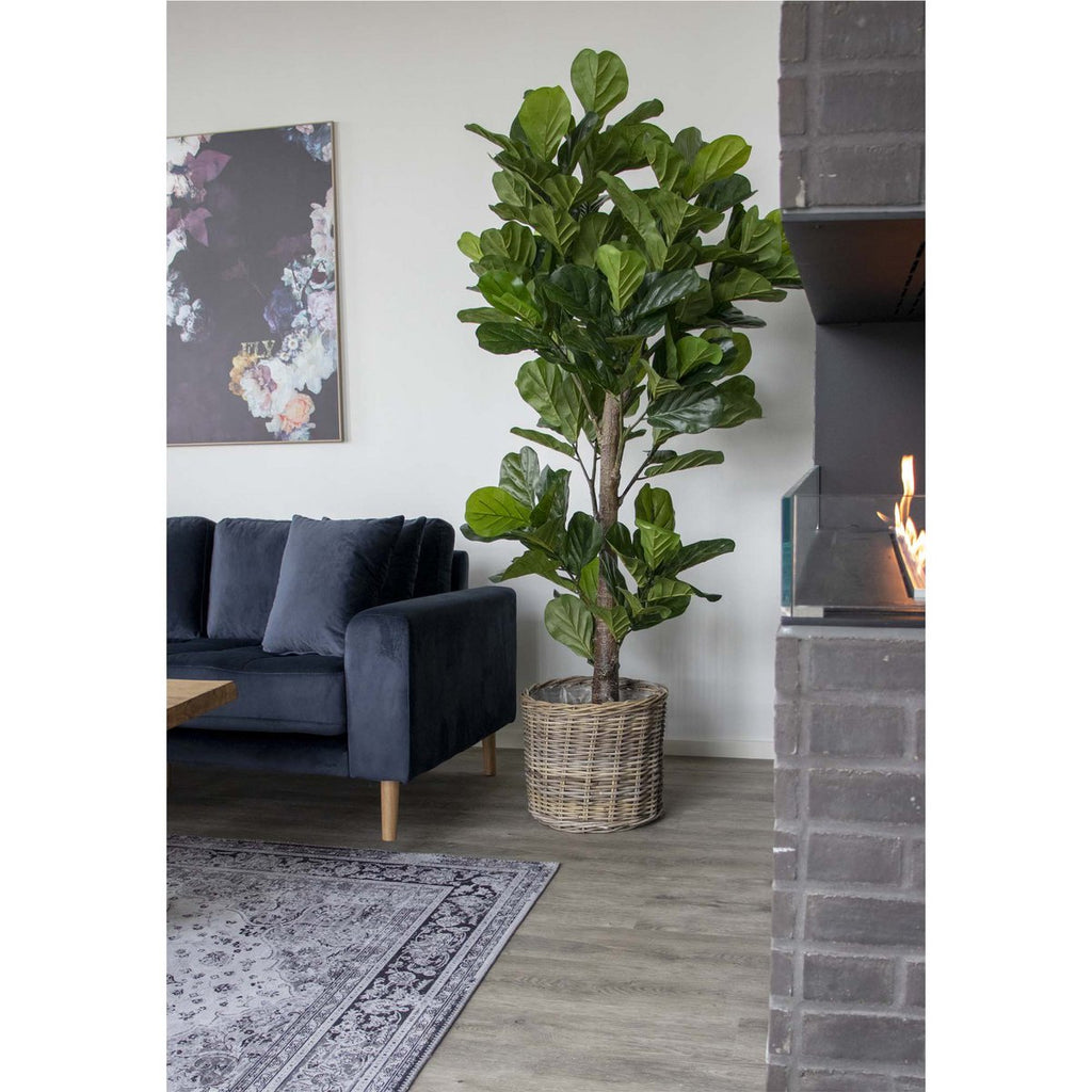 Fiddle Leaf Tree – Grün, PE-Kunststoff/Polyester, 81 x 93 x 190 cm