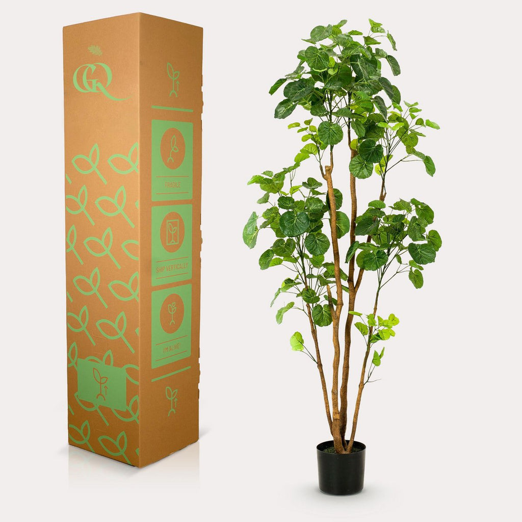 KUNSTPLANT - POLYSCIAS - ARALIA - 160 cm