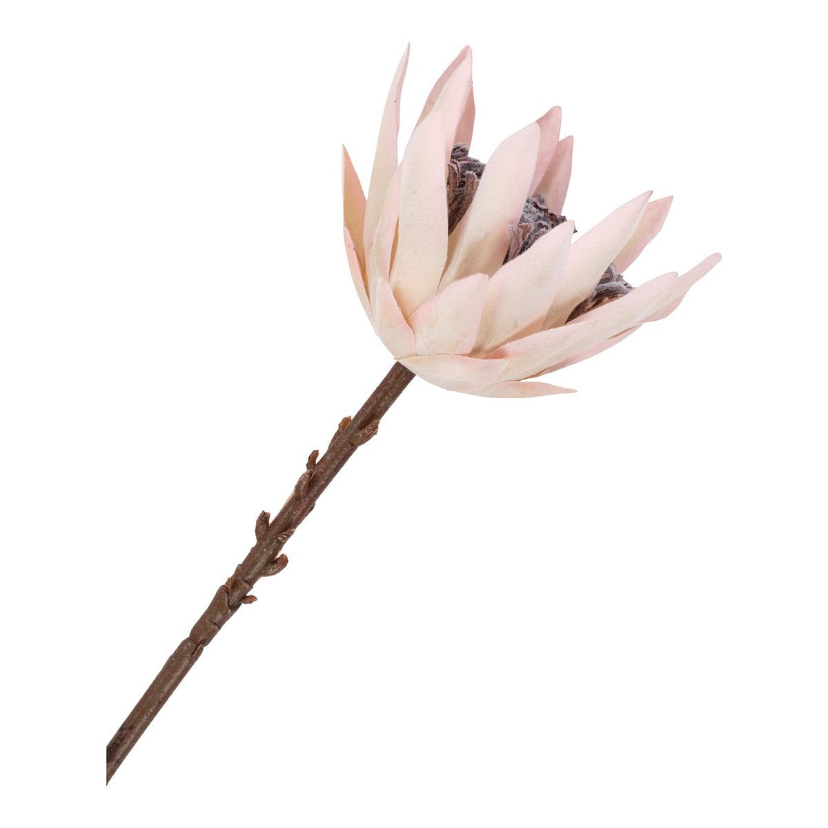 King Protea Bouquet - Künstliche Blumen, Bordeaux-Mix, 65 cm