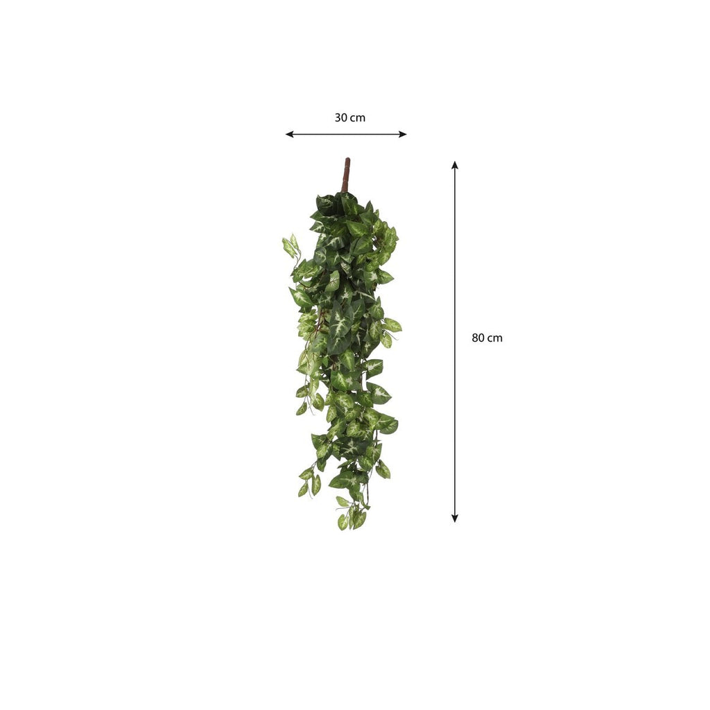Künstliche Hängepflanze Fittonia Green