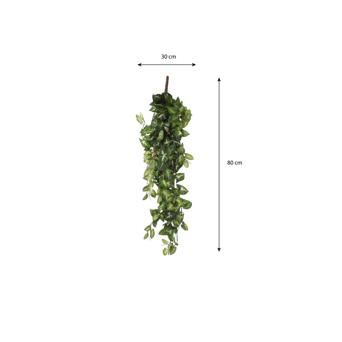 Künstliche Hängepflanze Fittonia Green