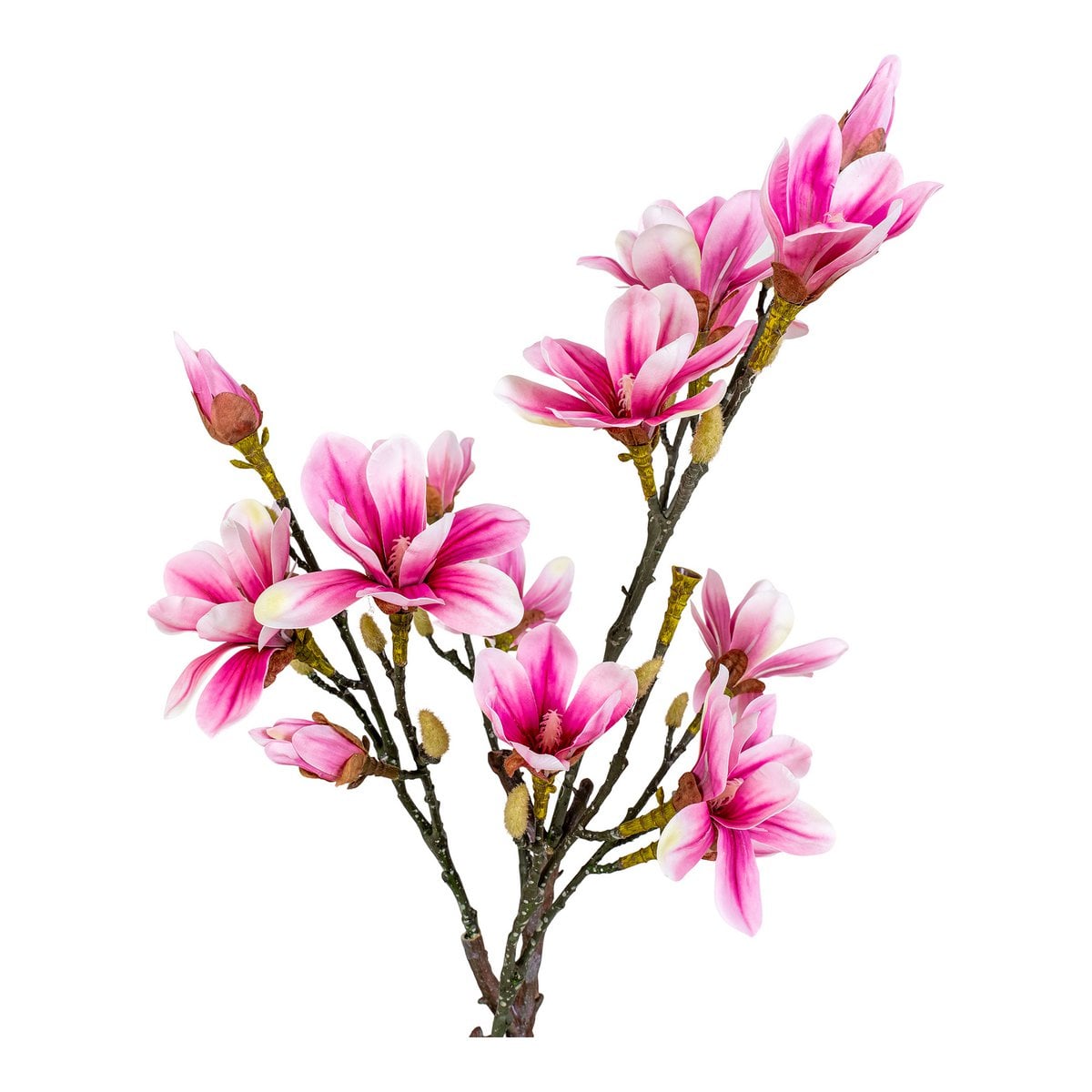 Magnolienbaum – Grün/Rosa, PE-Kunststoff, H:74 cm