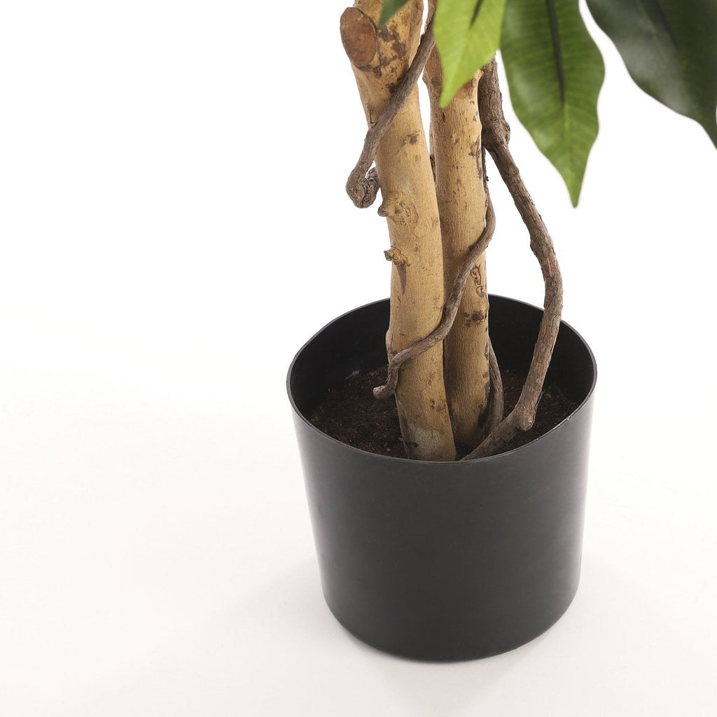 Künstliche Pflanze Ficus Green