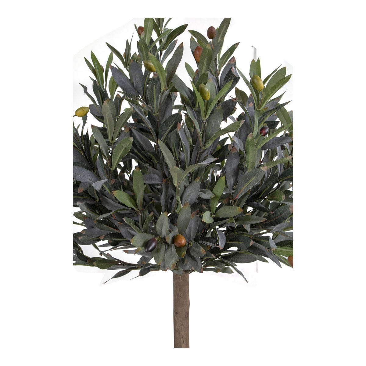 Olivenbaum – Grün, PE-Kunststoff/Polyester, 43 x 47 x 120 cm