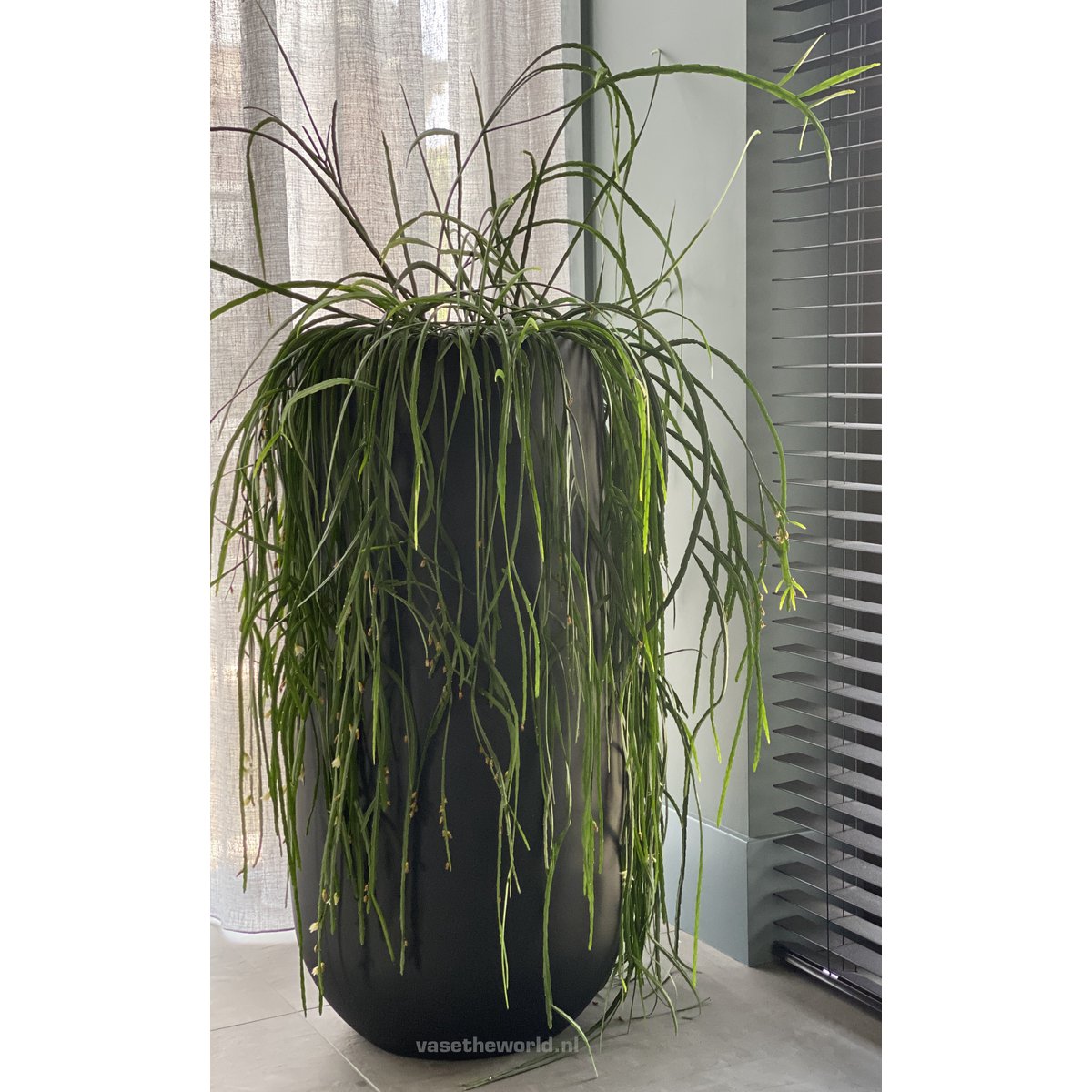 Plantnenpot - Idaho Schwarz