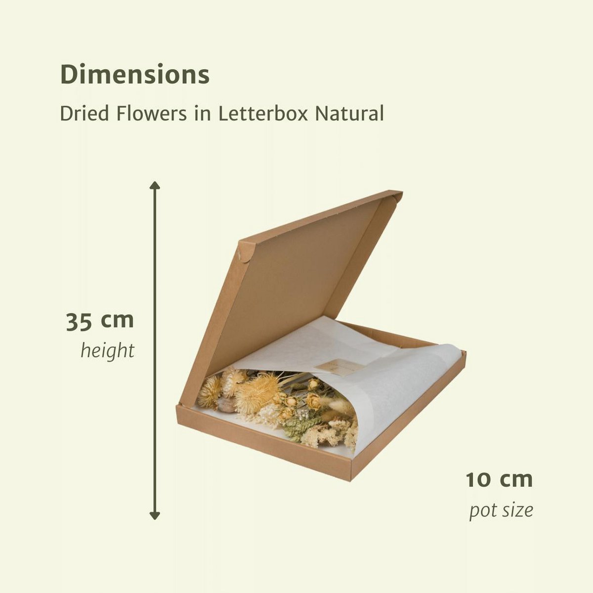 Trockene Blume im Briefkasten multi - natürlich