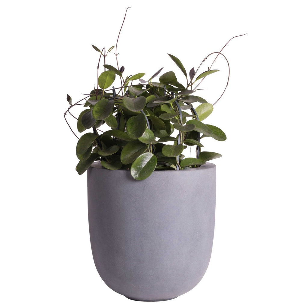 Pflanzentopf Ducos Big Grey – Fiberstone | Für Innen & Außen