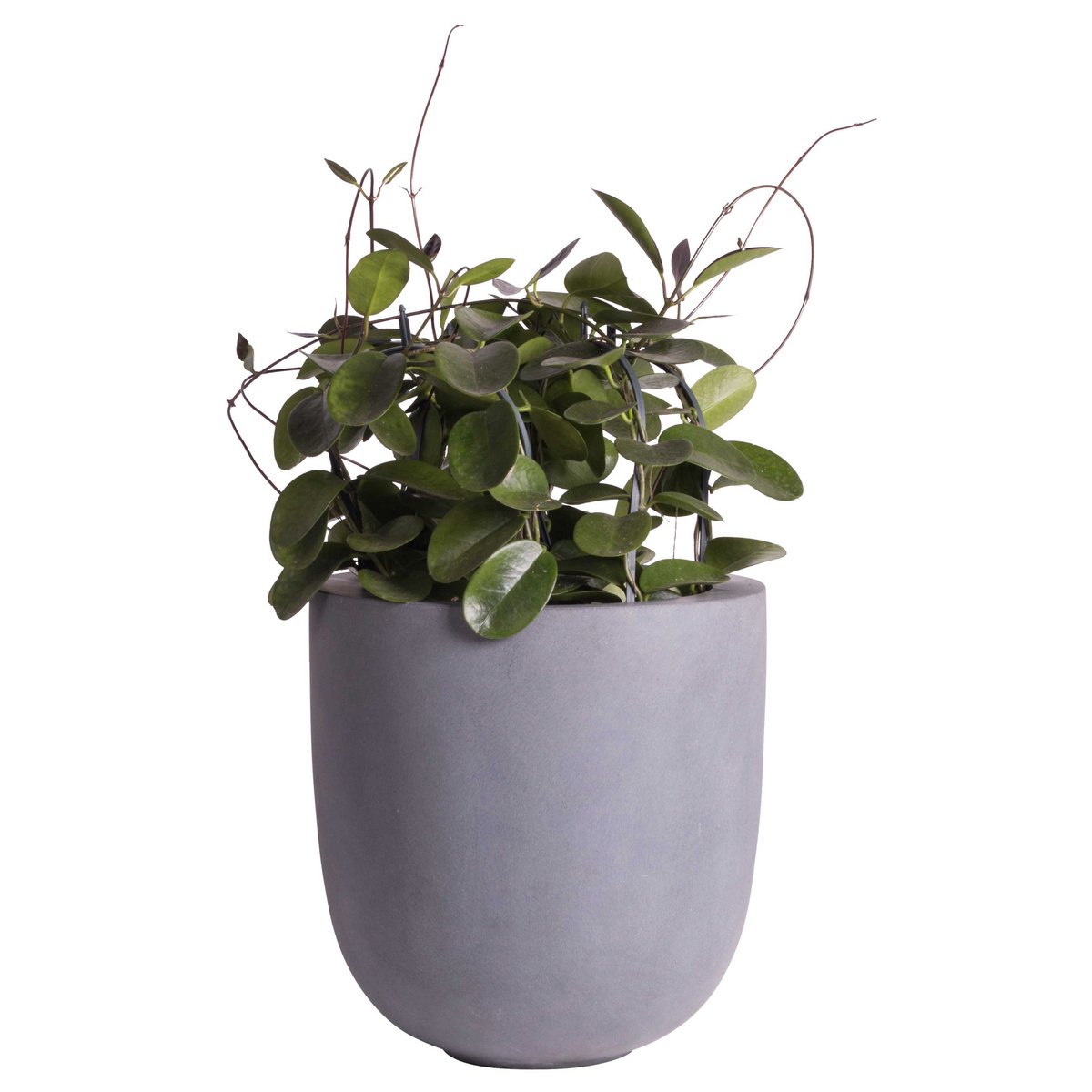 Pflanzentopf Ducos Big Grey – Fiberstone | Für Innen & Außen
