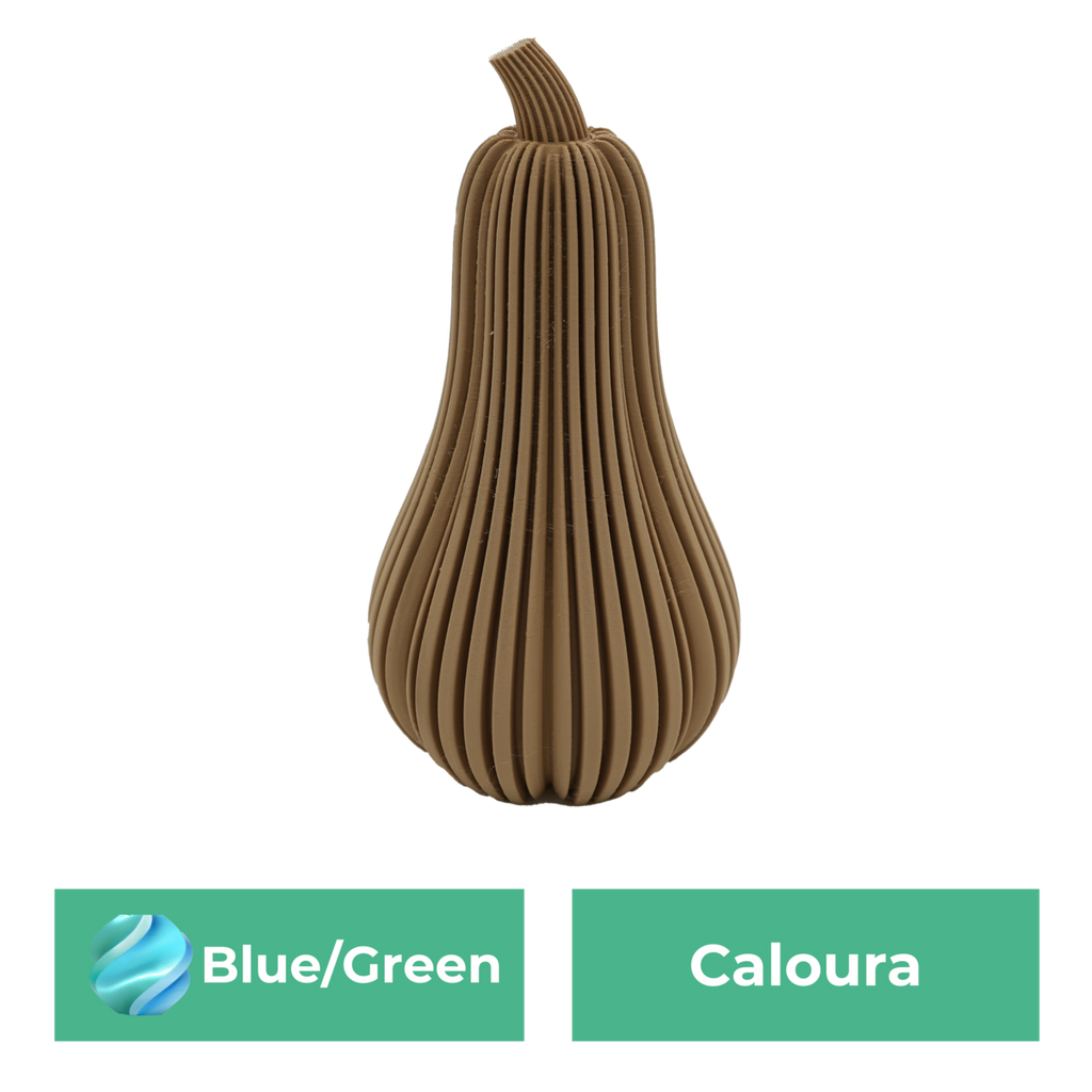 Caloura-Kürbis