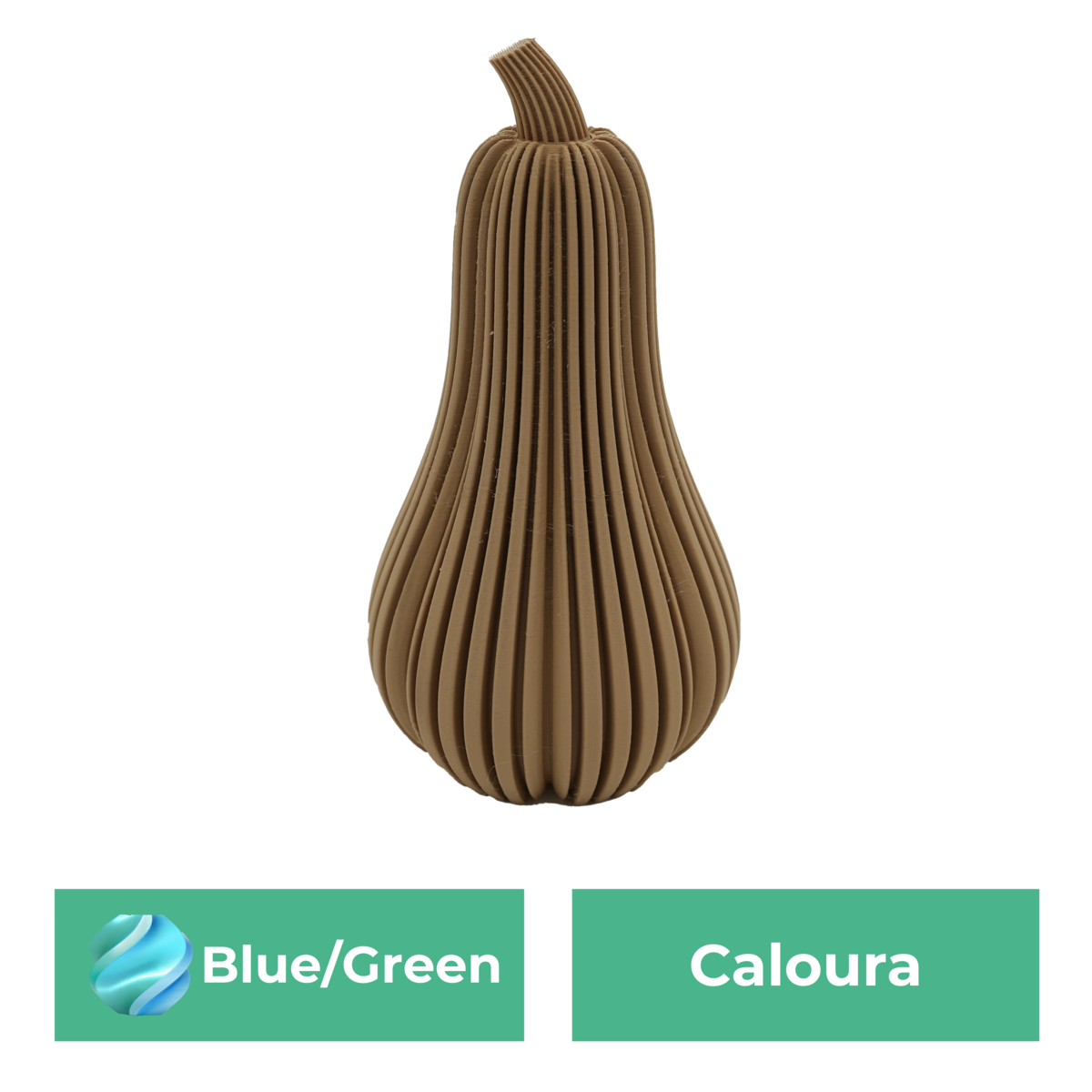 Caloura-Kürbis