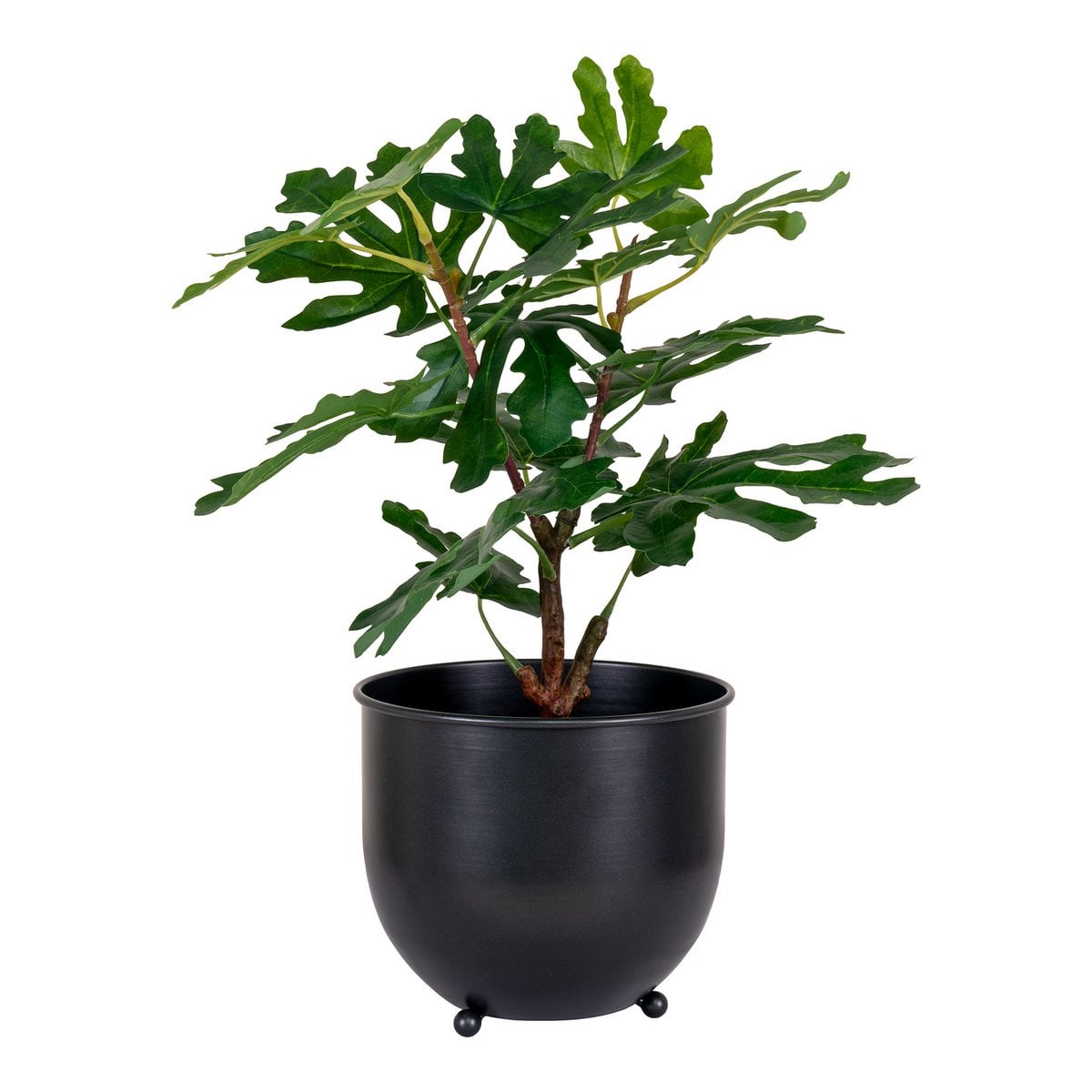 Feigenbaum - Grün, PE-Kunststoff, H:60 cm