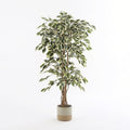 Künstliche Pflanze Ficus Green