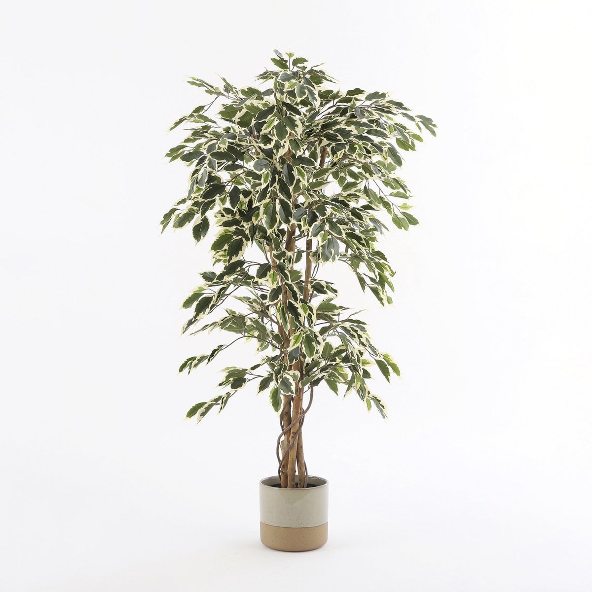 Künstliche Pflanze Ficus Green