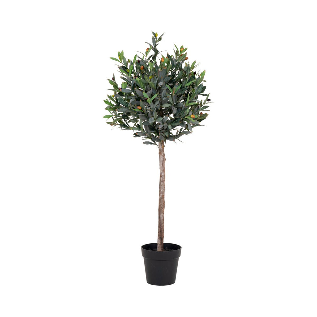Olivenbaum – Grün, PE-Kunststoff/Polyester, 43 x 47 x 120 cm