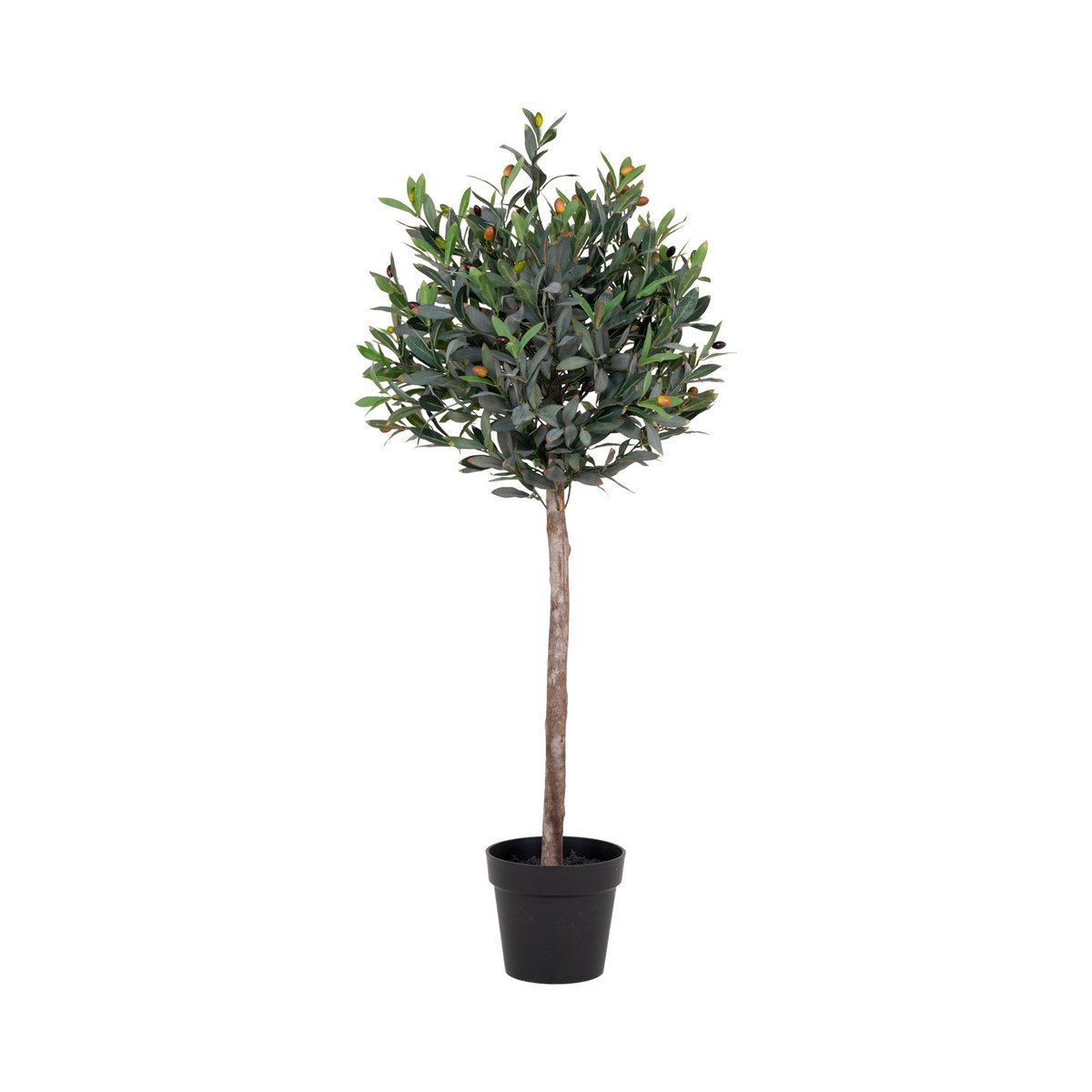 Olivenbaum – Grün, PE-Kunststoff/Polyester, 43 x 47 x 120 cm