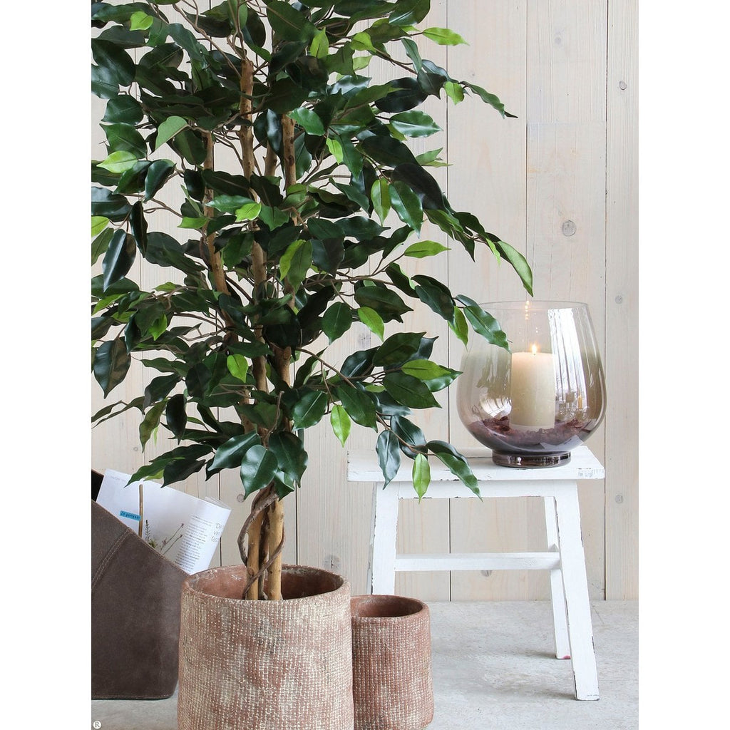 Künstliche Pflanze Ficus Green