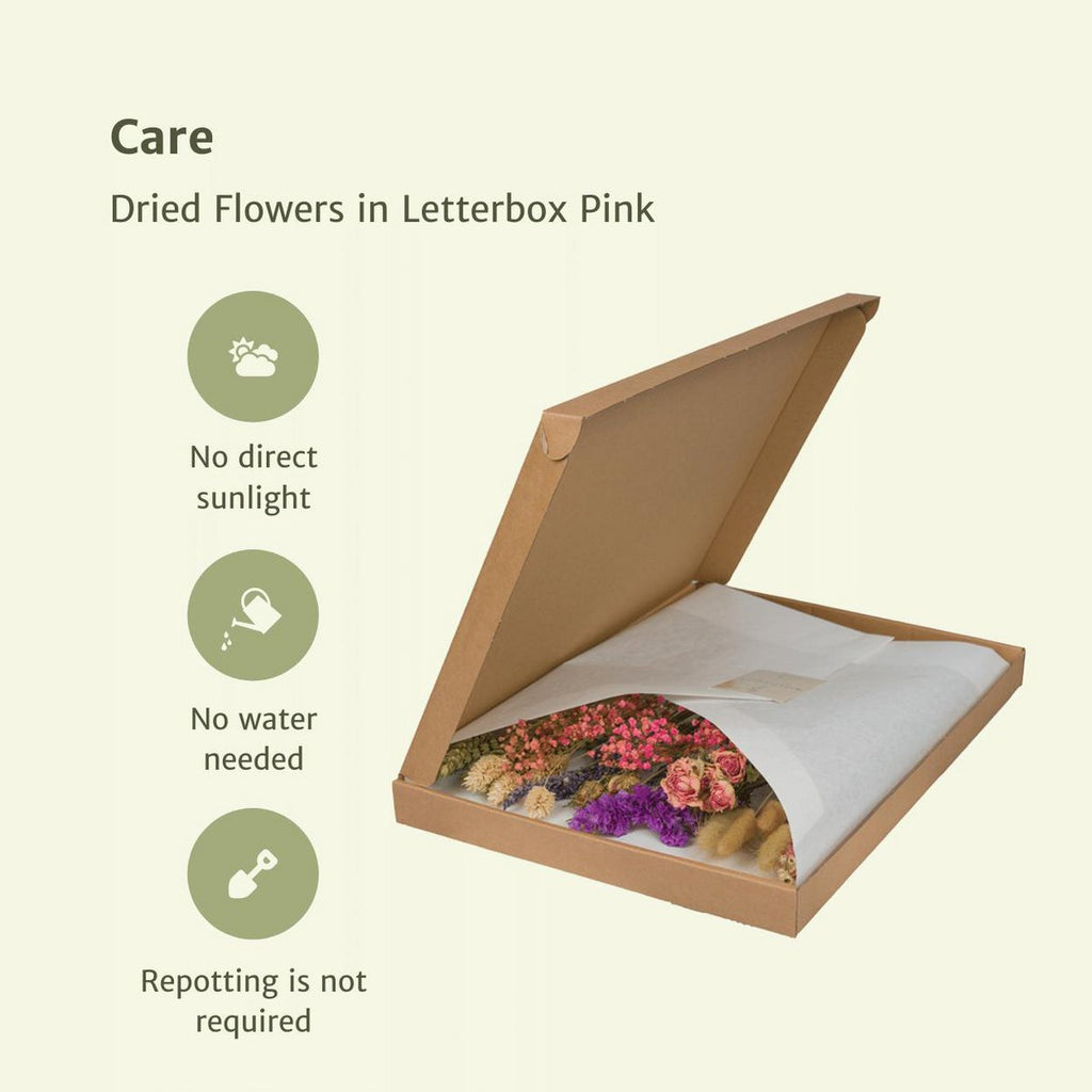 Trockene Blume im Briefkasten Multi - Pink