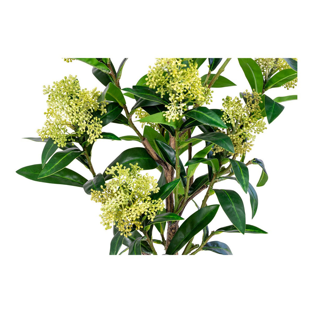 Skimmia-Baum – Grün, PE-Kunststoff, H:75 cm