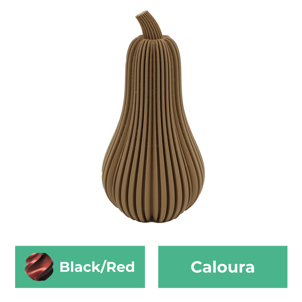 Caloura-Kürbis