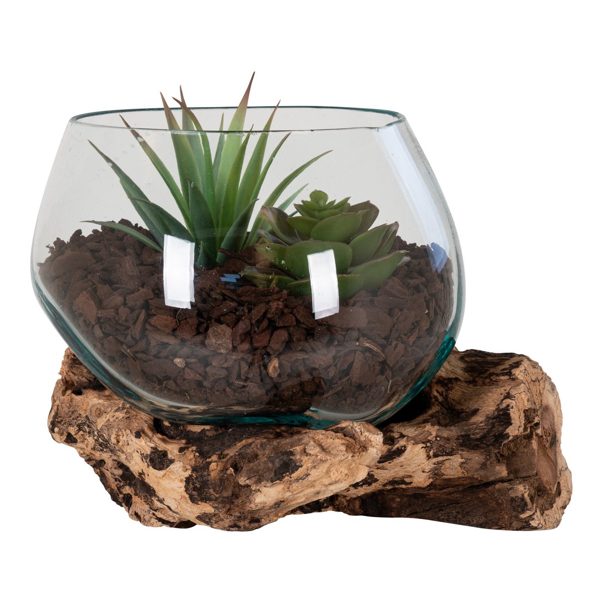 Teakholz Waterdrop mit Glas - Detailansicht für Luftpflanzen