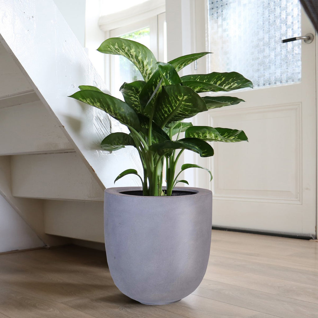 Pflanzentopf Ducos Big Grey – Fiberstone | Für Innen & Außen