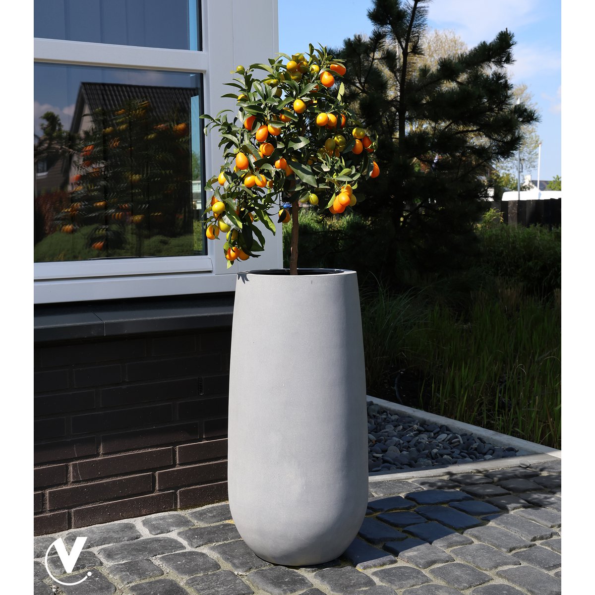 Plantnenpot - Idaho Gray