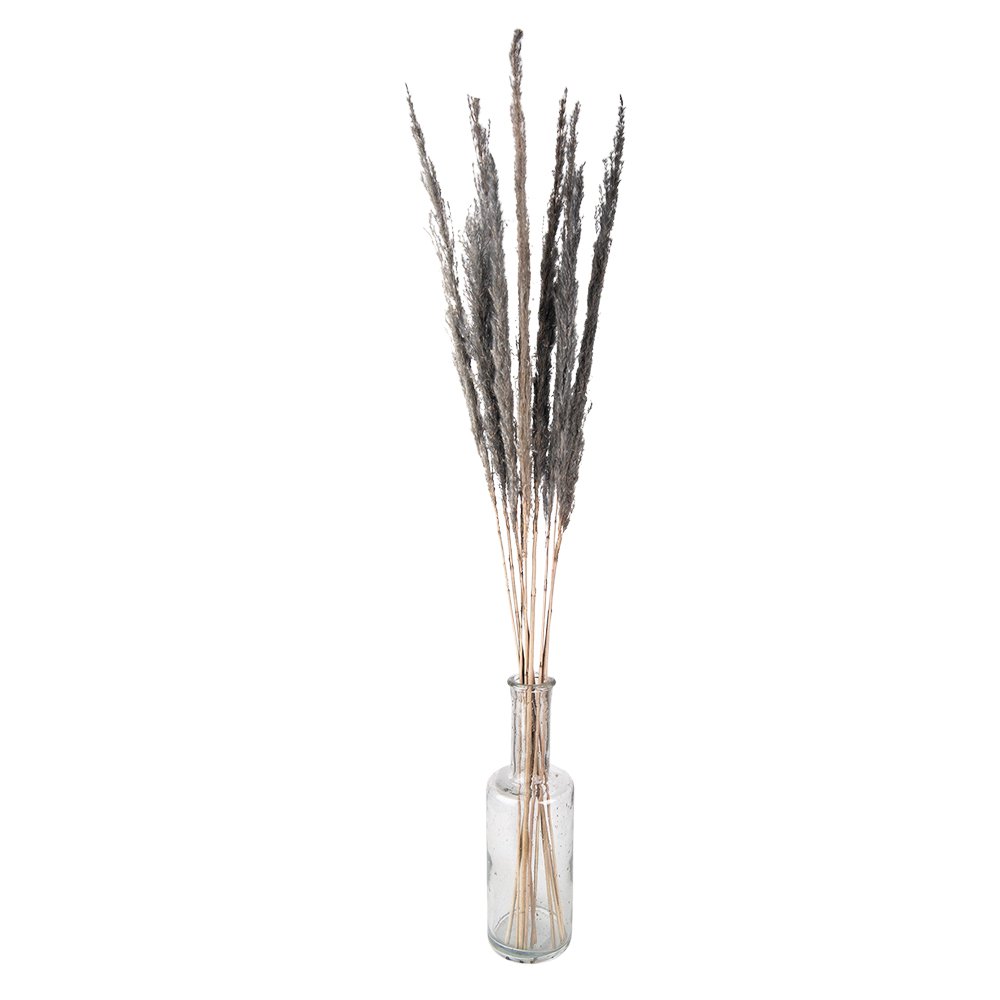 Droogblumen 100 cm (10)